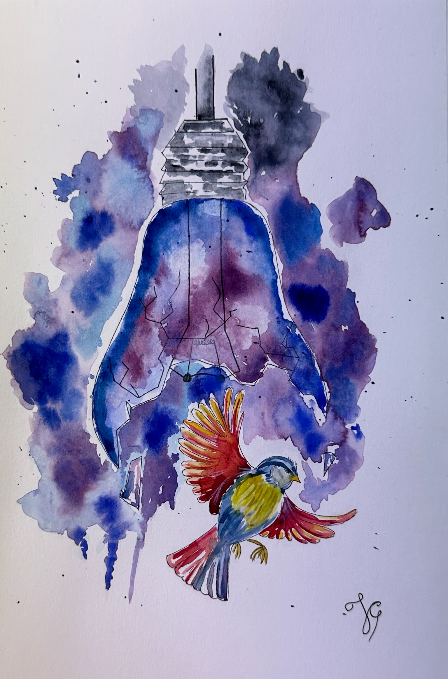 Pajaro