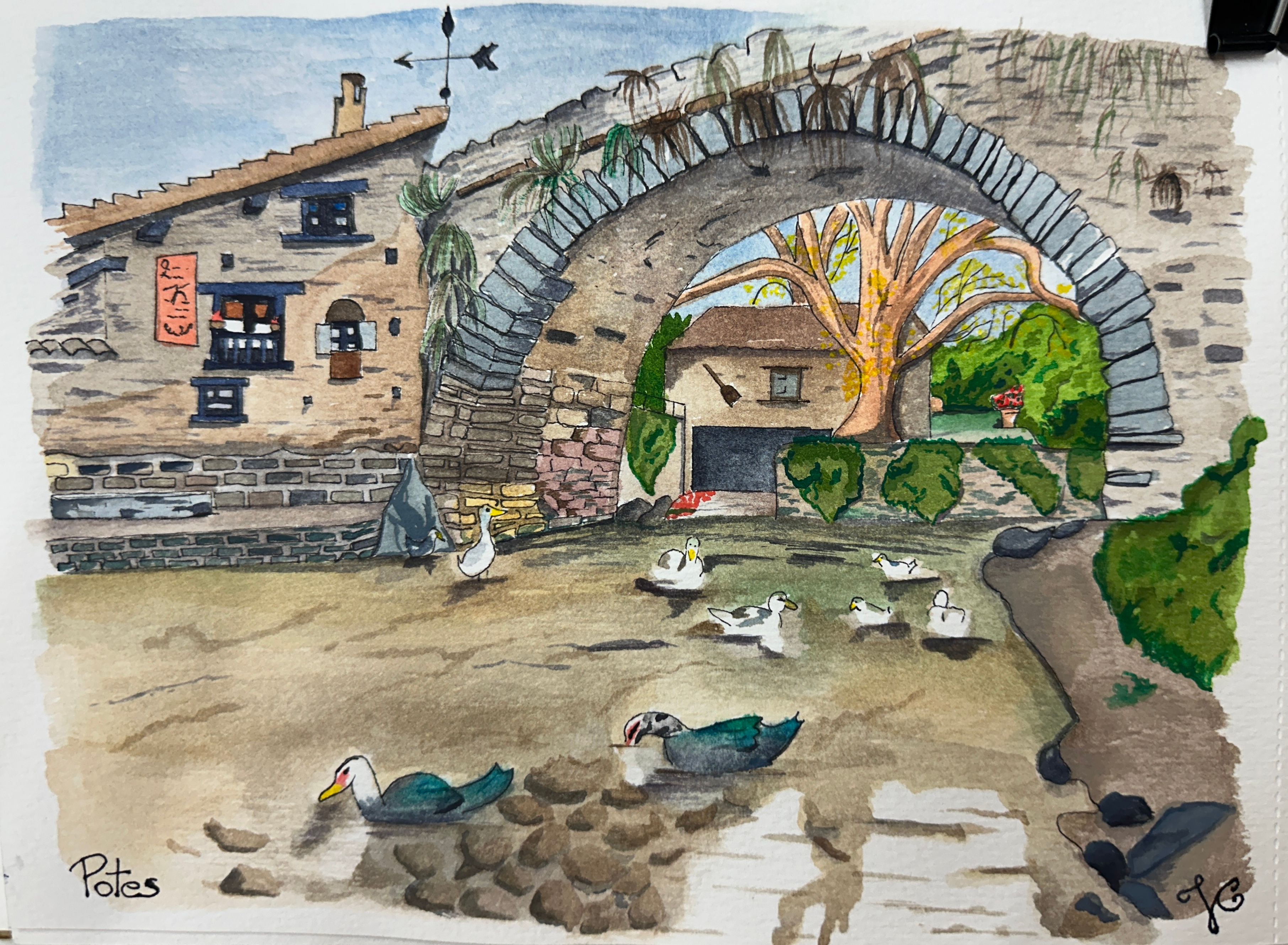 Potes
